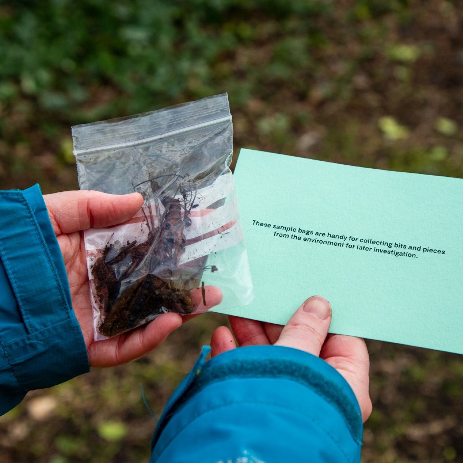 Collecting soil samples to check under the microscope.