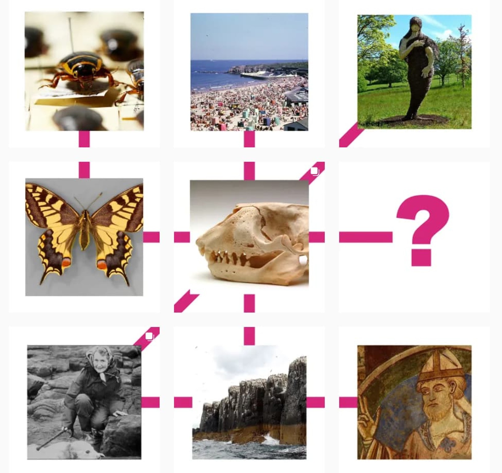 Story:Web used Instagram to gather comments and stories for the interactive demo. 