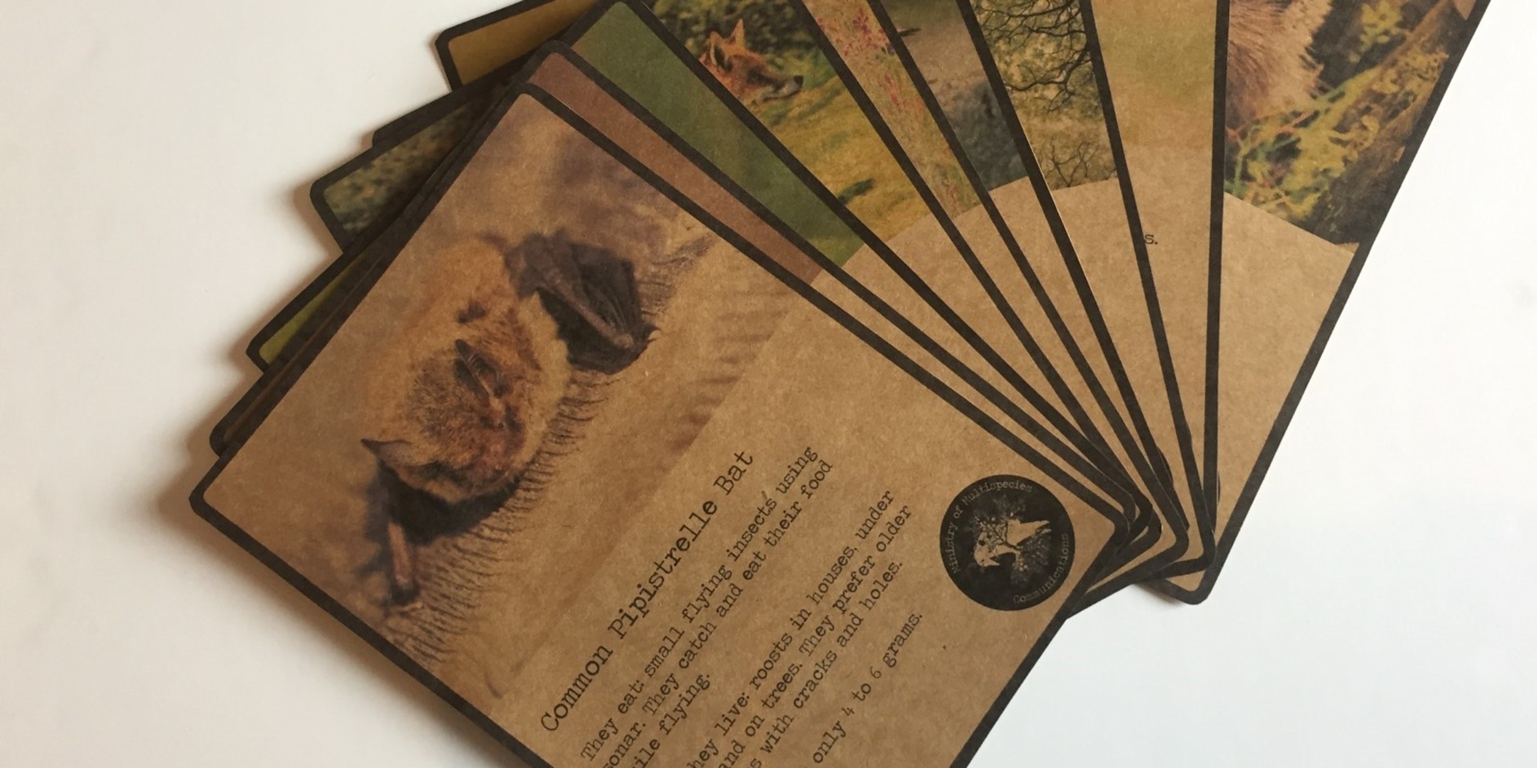 Ministry of Multispecies Communication at Hyper Island