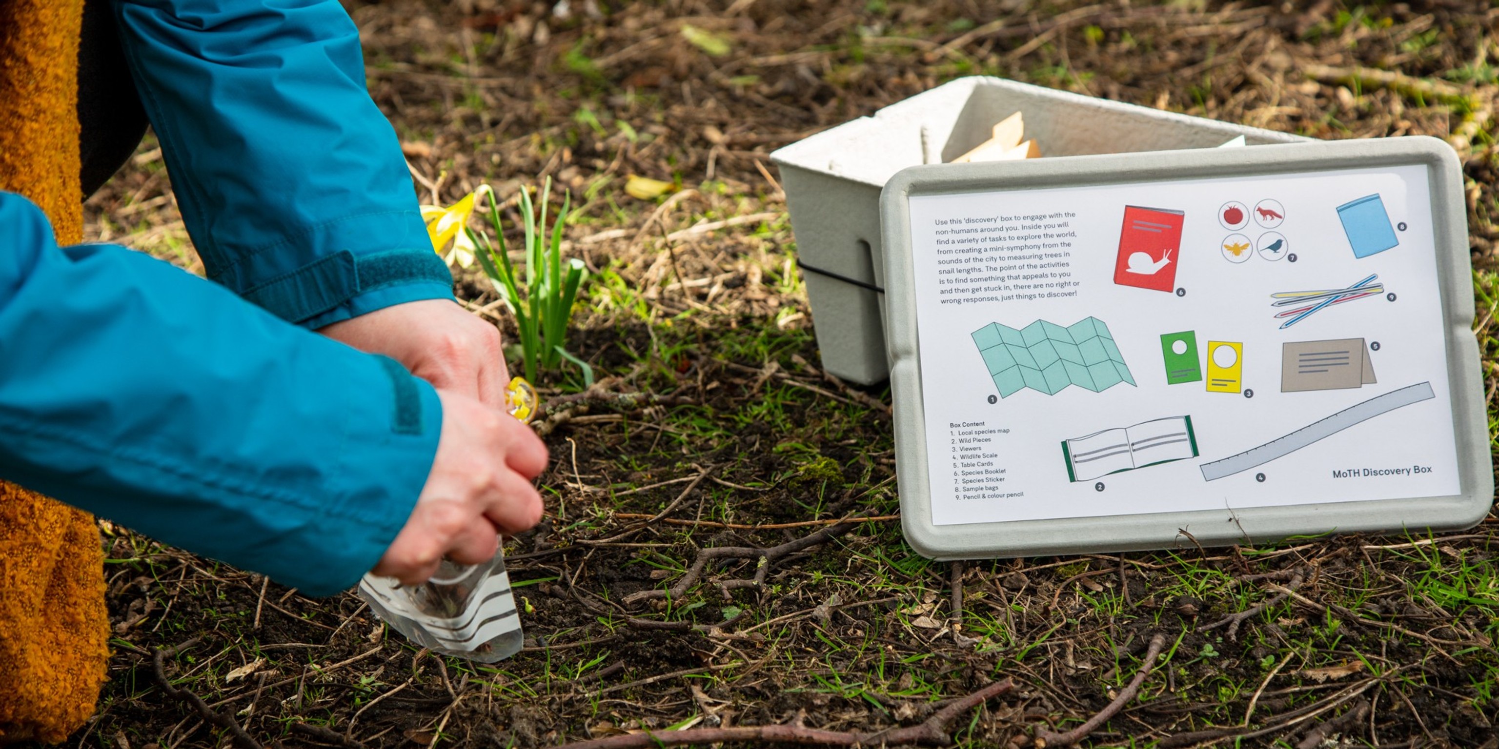 More-than-human data interactions in the city